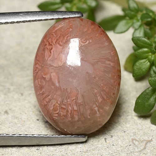 9.24ct Натуральный Многоцветный коралловый, Овал, Полупрозрачный