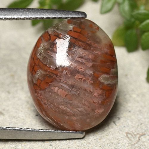 7.28ct Натуральный Многоцветный коралловый, Овал, Полупрозрачный