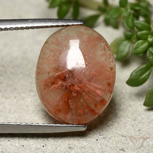 7.91ct Натуральный Многоцветный коралловый, Овал, Полупрозрачный