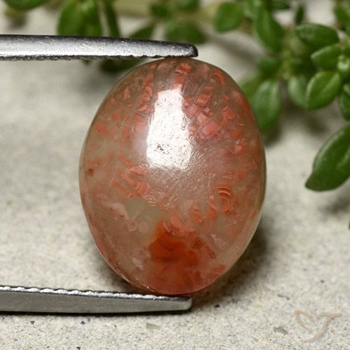 6.66ct Натуральный Многоцветный коралловый, Овал, Полупрозрачный