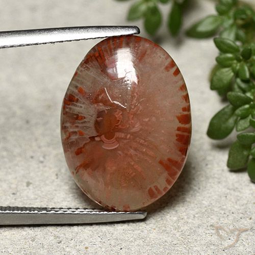 10.04ct Натуральный Многоцветный коралловый, Овал, Полупрозрачный