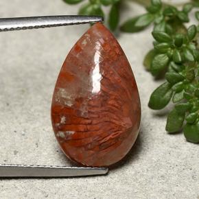 Натуральный многоцветный коралл 8,19 карата форма груши, непрозрачный