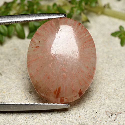 7.55ct Натуральный Многоцветный коралловый, Овал, Полупрозрачный