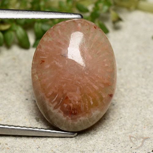 7.64ct Натуральный Многоцветный коралловый, Овал, Полупрозрачный