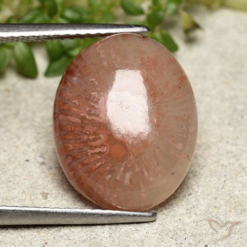 6.97ct Натуральный Многоцветный коралловый, Овал, Полупрозрачный
