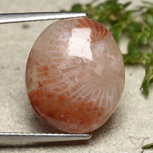 7.31ct Натуральный Многоцветный коралловый, Овал, Полупрозрачный