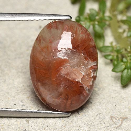 5.98ct Натуральный Многоцветный коралловый, Овал, Полупрозрачный