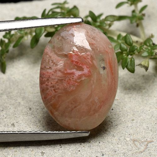 7.30ct Натуральный Многоцветный коралловый, Овал, Полупрозрачный