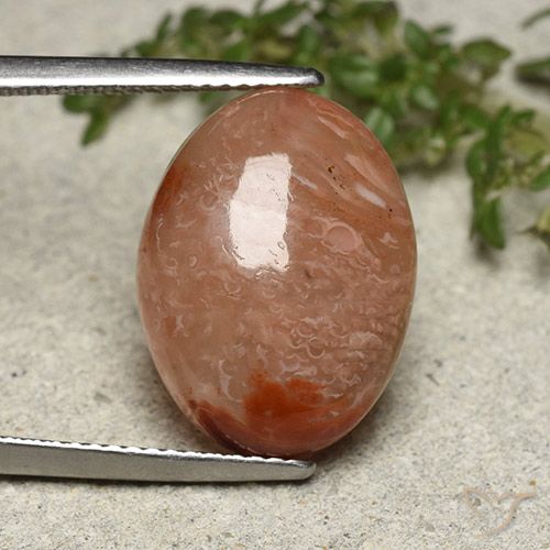 10.75ct Натуральный Многоцветный коралловый, Овал, Полупрозрачный