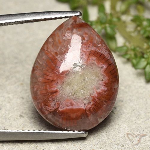 11.90ct Натуральный Многоцветный коралловый, Форма груши, Непрозрачный