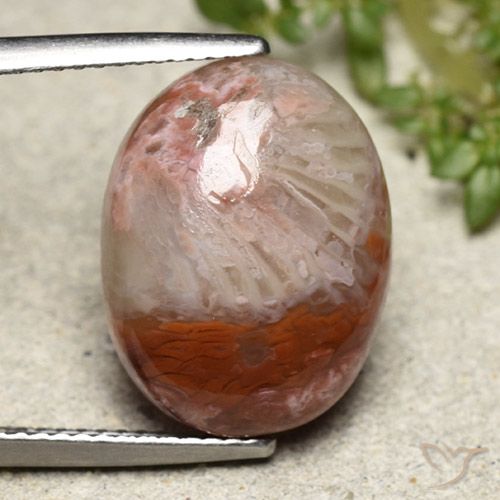 8.65ct Натуральный Многоцветный коралловый, Овал, Непрозрачный
