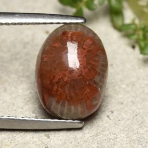 4.83 карата, натуральный Многоцветный Коралловый, Огранка Овал, Непрозрачный