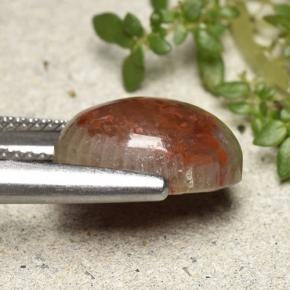 4.83 карата, натуральный Многоцветный Коралловый, Огранка Овал, Непрозрачный