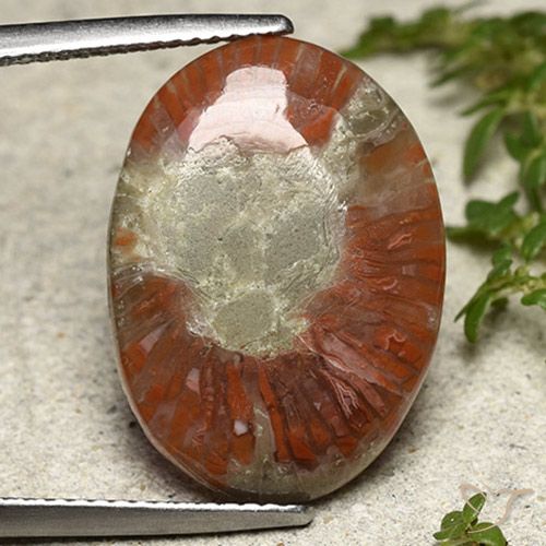 8.01ct Натуральный Многоцветный коралловый, Овал, Полупрозрачный
