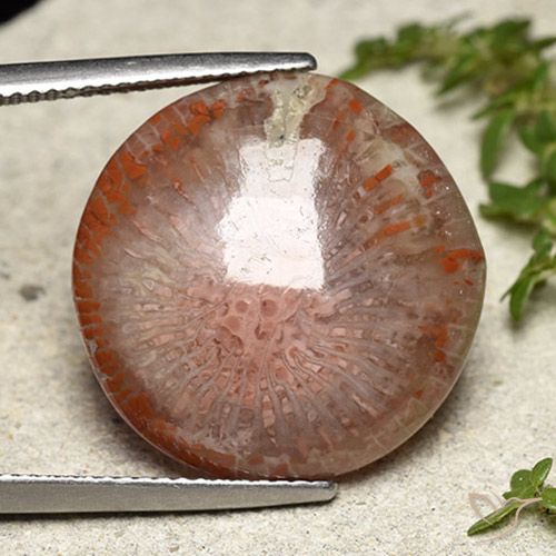 14.05ct Натуральный Многоцветный коралловый, Круглый, Полупрозрачный