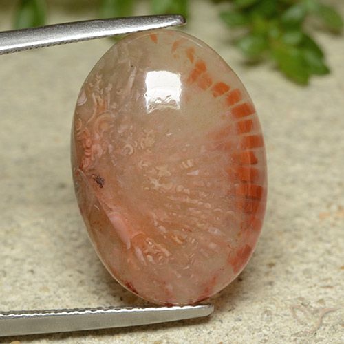 11.62ct Натуральный Многоцветный коралловый, Овал, Полупрозрачный