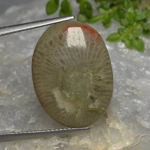 10.46ct Натуральный Многоцветный коралловый, Овал, Полупрозрачный