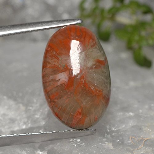 5.96ct Натуральный Многоцветный коралловый, Овал, Непрозрачный