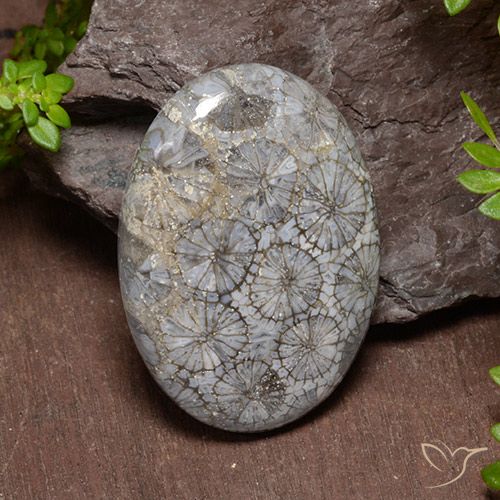 43.74ct Натуральный Многоцветный коралловый, Овал, Непрозрачный