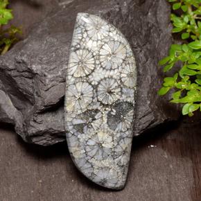 26.84 карата, натуральный Многоцветный Коралловый, Необычная форма, Непрозрачный