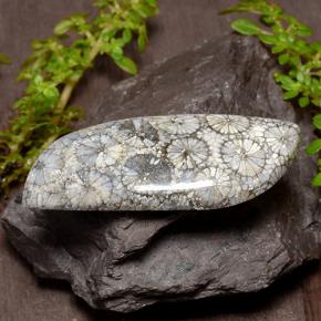 26.84 карата, натуральный Многоцветный Коралловый, Необычная форма, Непрозрачный