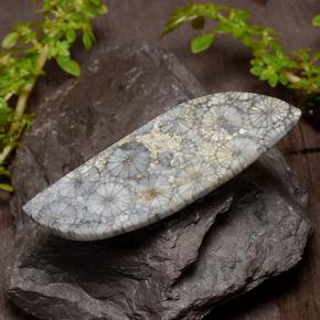 26.84 карата, натуральный Многоцветный Коралловый, Необычная форма, Непрозрачный