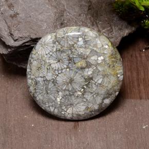 42.64 карата, натуральный Многоцветный Коралловый, Огранка Круг, Непрозрачный