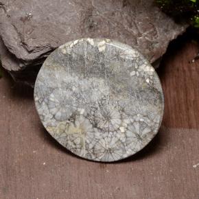 42.64 карата, натуральный Многоцветный Коралловый, Огранка Круг, Непрозрачный