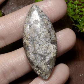 36.99 карата, натуральный Многоцветный Коралловый, Маркиза, Непрозрачный