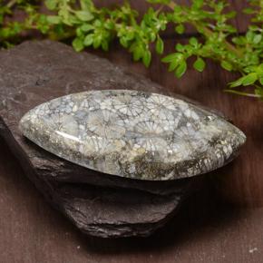 36.99 карата, натуральный Многоцветный Коралловый, Маркиза, Непрозрачный