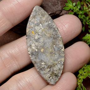 36.99 карата, натуральный Многоцветный Коралловый, Маркиза, Непрозрачный