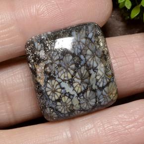 23.19 карата, натуральный Многоцветный Коралловый, Подушка Крой, Непрозрачный