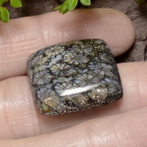 23.19 карата, натуральный Многоцветный Коралловый, Подушка Крой, Непрозрачный