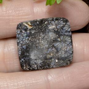 23.19 карата, натуральный Многоцветный Коралловый, Подушка Крой, Непрозрачный