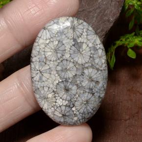 34.23 карата, натуральный Многоцветный Коралловый, Огранка Овал, Непрозрачный