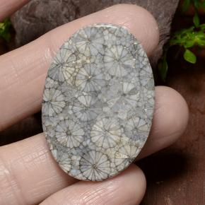 34.23 карата, натуральный Многоцветный Коралловый, Огранка Овал, Непрозрачный