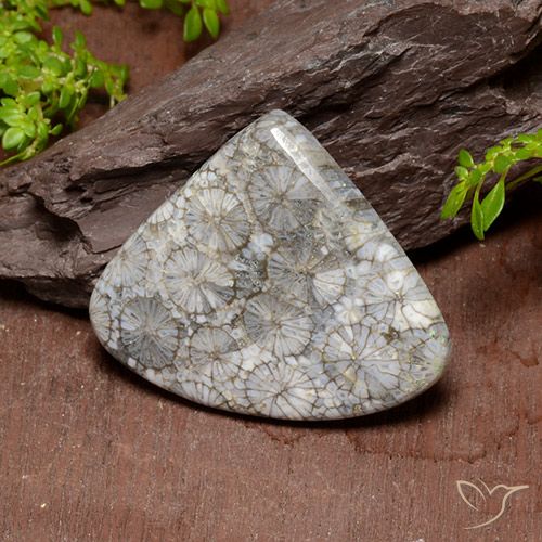 39.63ct Натуральный Многоцветный коралловый, Форма груши, Непрозрачный