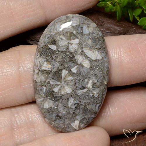 42.02ct Натуральный Многоцветный коралловый, Овал, Непрозрачный