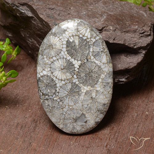 38.17ct Натуральный Многоцветный коралловый, Овал, Непрозрачный