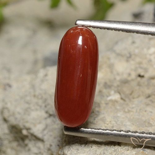 1.89ct Натуральный Lipstic Red коралловый, Овал, Непрозрачный