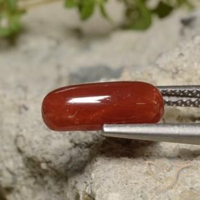 1.89 карата, натуральный Lipstic Red Коралловый, Овал, Непрозрачный