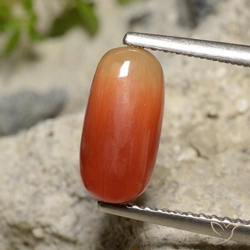 2.12ct Натуральный Средний апельсин коралловый, Овал, Непрозрачный
