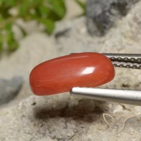 1.73 карата, натуральный Огонь Оранжевый Коралловый, Огранка Овал, Непрозрачный