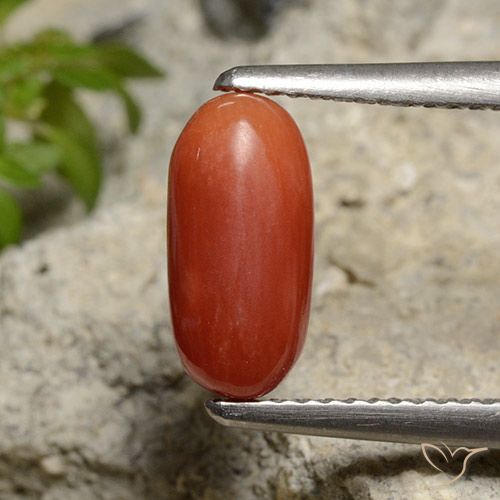 1.85ct Натуральный Средний апельсин коралловый, Овал, Непрозрачный