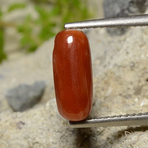 1.81ct Натуральный Ярко-красный коралловый, Овал, Непрозрачный
