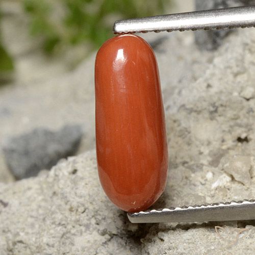 1.91ct Натуральный Средний красный коралловый, Овал, Непрозрачный
