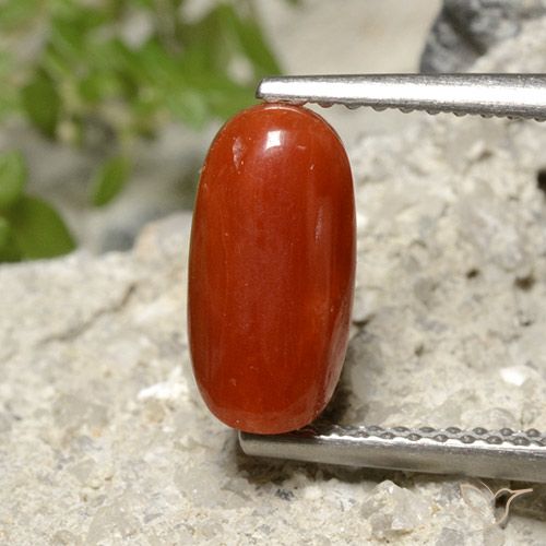 1.86ct Натуральный Ярко-красный Коралловый, Овал, Непрозрачный
