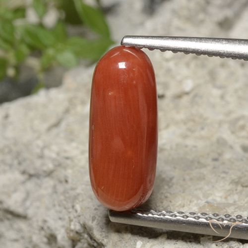 2.15ct Натуральный Средний апельсин Коралловый, Овал, Непрозрачный