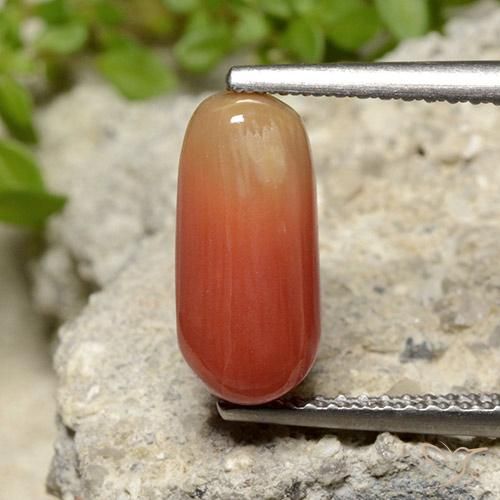 2.78ct Натуральный Огонь Оранжевый коралловый, Овал, Непрозрачный