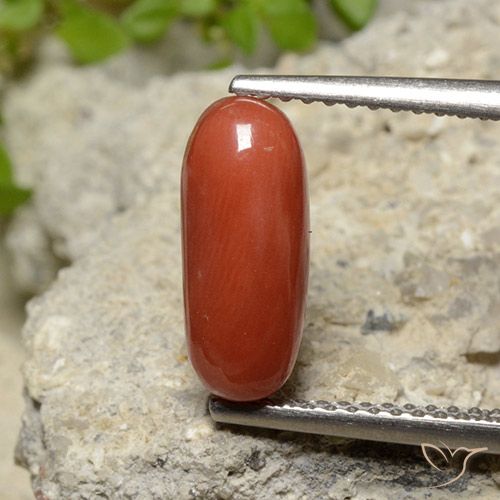 2.10ct Натуральный Средний апельсин коралловый, Овал, Непрозрачный